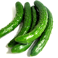 画像：きゅうり