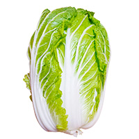 画像：白菜