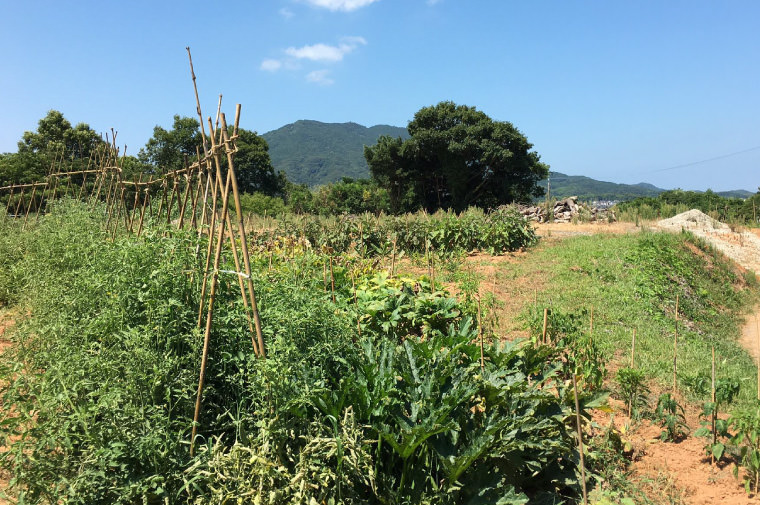 画像：循環農法